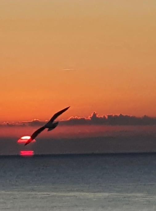 Le Chant Des Vagues Sète Buitenkant foto
